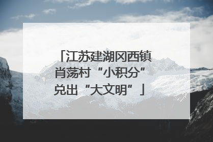 江苏建湖冈西镇肖荡村“小积分”兑出“大文明”