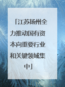 江苏扬州全力推动国有资本向重要行业和关键领域集中