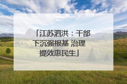 江苏泗洪：干部下沉强根基 治理提效惠民生