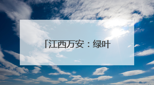 江西万安：绿叶生金 小叶子撬动乡村共富大产业