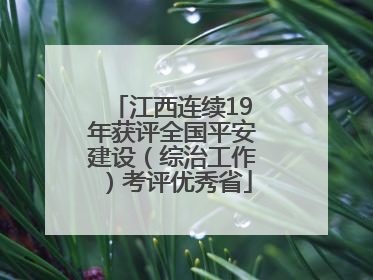 江西连续19年获评全国平安建设（综治工作）考评优秀省