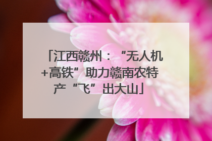 江西赣州：“无人机+高铁”助力赣南农特产“飞”出大山