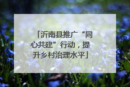 沂南县推广“同心共建”行动，提升乡村治理水平
