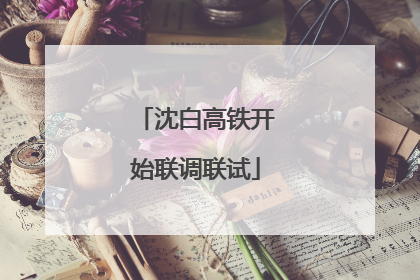 沈白高铁开始联调联试