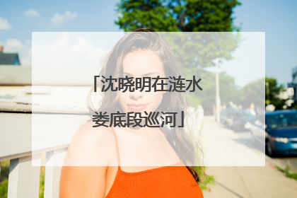 沈晓明在涟水娄底段巡河
