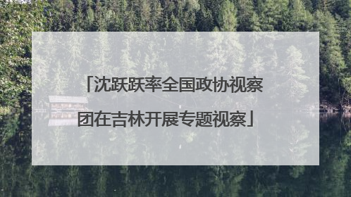 沈跃跃率全国政协视察团在吉林开展专题视察