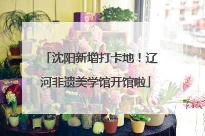 沈阳新增打卡地！辽河非遗美学馆开馆啦