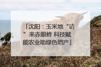 沈阳：玉米地“请”来赤眼蜂 科技赋能农业助绿色增产