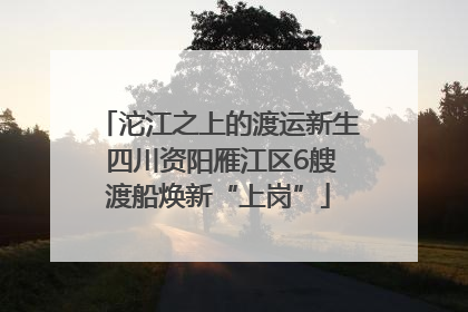 沱江之上的渡运新生 四川资阳雁江区6艘渡船焕新“上岗”