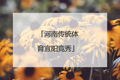 河南传统体育宜阳竞秀