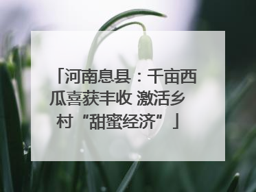 河南息县：千亩西瓜喜获丰收 激活乡村“甜蜜经济”