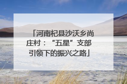 河南杞县沙沃乡尚庄村：“五星”支部引领下的振兴之路