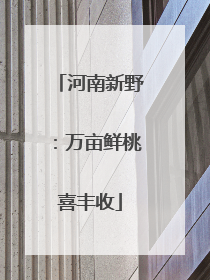 河南新野：万亩鲜桃喜丰收