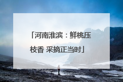 河南淮滨：鲜桃压枝香 采摘正当时