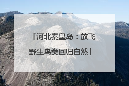 河北秦皇岛：放飞野生鸟类回归自然