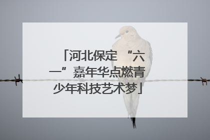 河北保定 “六一”嘉年华点燃青少年科技艺术梦