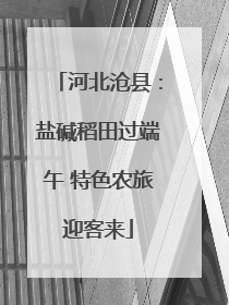 河北沧县：盐碱稻田过端午 特色农旅迎客来