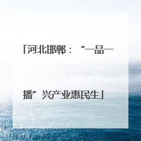 河北邯郸：“一品一播”兴产业惠民生