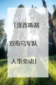 泽连斯基宣布乌军队人事变动