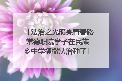法治之光照亮青春路 常德职院学子在民族乡中学播撒法治种子