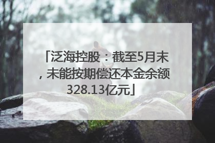 泛海控股：截至5月末，未能按期偿还本金余额328.13亿元