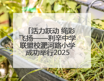 活力跃动 绳彩飞扬——利辛中学联盟校淝河路小学成功举行2025年春季跳绳比赛