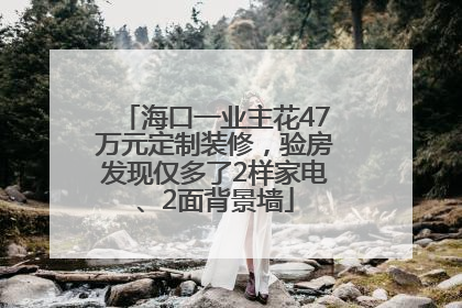 海口一业主花47万元定制装修，验房发现仅多了2样家电、2面背景墙