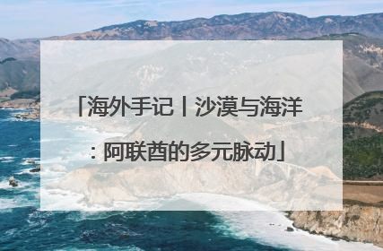 海外手记丨沙漠与海洋：阿联酋的多元脉动