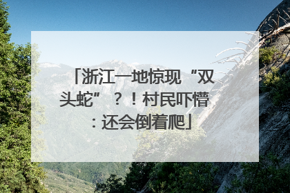 浙江一地惊现“双头蛇”？！村民吓懵：还会倒着爬
