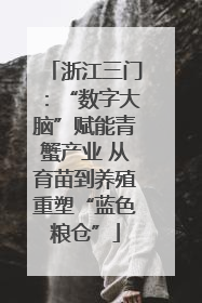 浙江三门：“数字大脑”赋能青蟹产业 从育苗到养殖重塑“蓝色粮仓”
