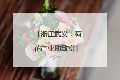 浙江武义：荷花产业助致富