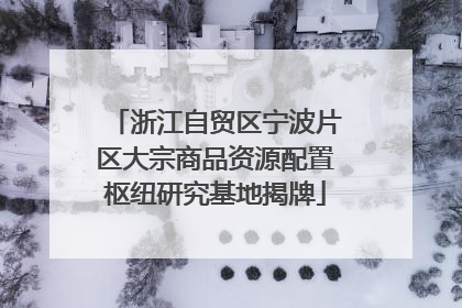 浙江自贸区宁波片区大宗商品资源配置枢纽研究基地揭牌