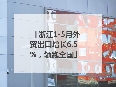 浙江1-5月外贸出口增长6.5%，领跑全国
