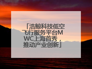 浩鲸科技低空飞行服务平台MWC上海首秀，推动产业创新