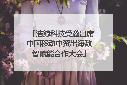 浩鲸科技受邀出席中国移动中资出海数智赋能合作大会