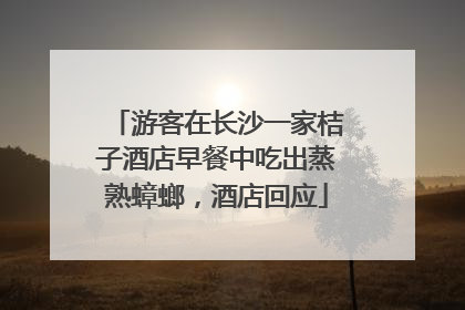 游客在长沙一家桔子酒店早餐中吃出蒸熟蟑螂，酒店回应