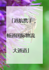 港航携手，畅通国际物流大通道