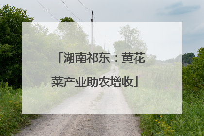 湖南祁东：黄花菜产业助农增收
