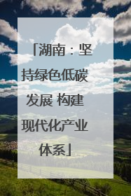 湖南：坚持绿色低碳发展 构建现代化产业体系