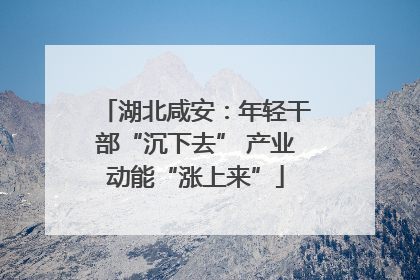 湖北咸安：年轻干部“沉下去” 产业动能“涨上来”