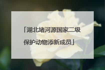 湖北堵河源国家二级保护动物添新成员