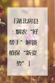 湖北房县：烟农“好帮手”解锁植保“新姿势”