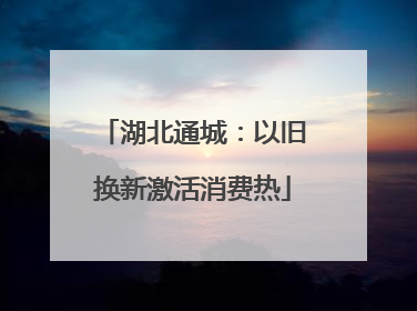 湖北通城：以旧换新激活消费热