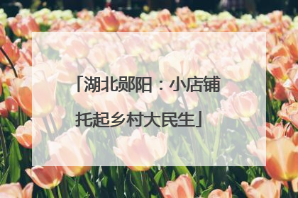 湖北郧阳：小店铺托起乡村大民生