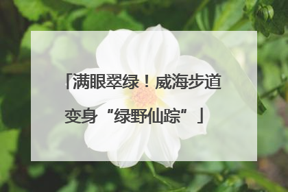 满眼翠绿！威海步道变身“绿野仙踪”