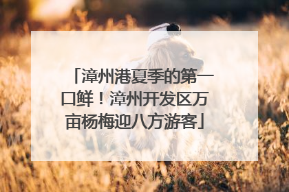 漳州港夏季的第一口鲜！漳州开发区万亩杨梅迎八方游客