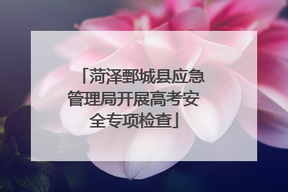 菏泽鄄城县应急管理局开展高考安全专项检查