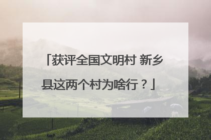 获评全国文明村 新乡县这两个村为啥行？