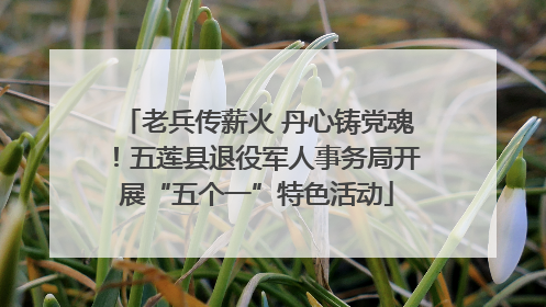 老兵传薪火 丹心铸党魂！五莲县退役军人事务局开展“五个一”特色活动