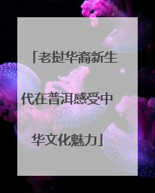 老挝华裔新生代在普洱感受中华文化魅力
